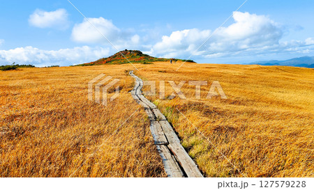 秋の栗駒山登山（栗駒山～秣岳：しろがね湿原） 127579228