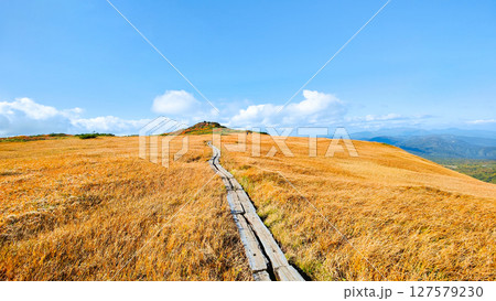 秋の栗駒山登山(栗駒山~秣岳:しろがね湿原) 秋の栗駒山登山(栗駒山~秣岳:しろがね湿原) 127579230