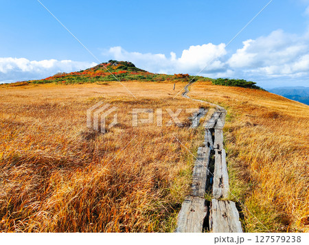秋の栗駒山登山（栗駒山～秣岳：しろがね湿原） 127579238