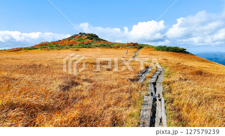 秋の栗駒山登山（栗駒山～秣岳：しろがね湿原） 127579239