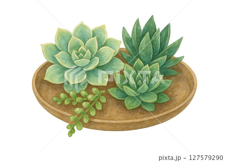 多肉植物の寄せ植えの水彩イラスト（グリーン・インテリア・癒し・切り抜き素材） 127579290