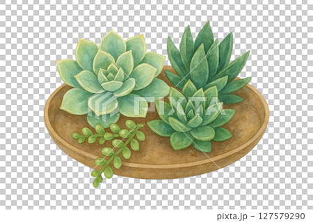 多肉植物の寄せ植えの水彩イラスト（グリーン・インテリア・癒し・切り抜き素材） 127579290