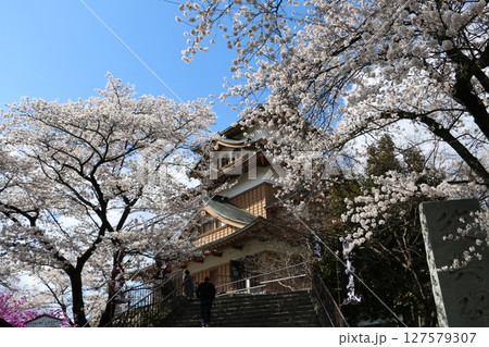 諏訪湖畔の桜の名所高島公園 127579307