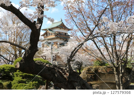 諏訪湖畔の桜の名所高島公園 127579308