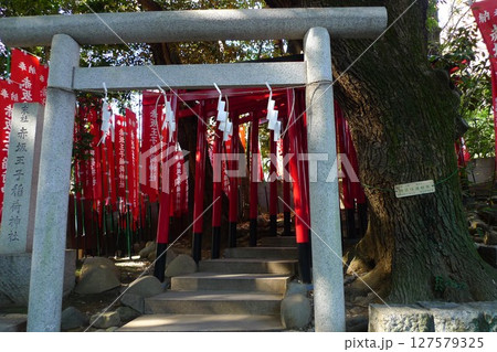 乃木神社境内に小さな社を構える赤坂王子稲荷神社 乃木神社境内に小さな社を構える赤坂王子稲荷神社 127579325