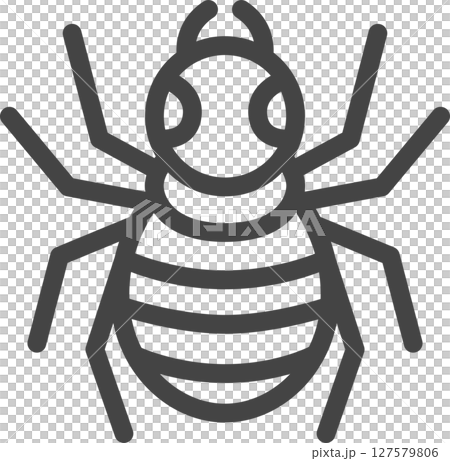 線画ミニ昆虫の単品アイコン 蜘蛛 線画ミニ昆虫の単品アイコン 蜘蛛 127579806