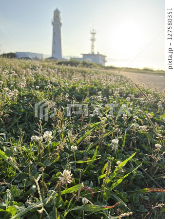 夏至前日の朝日を浴びる犬吠埼灯台 夏至前日の朝日を浴びる犬吠埼灯台 127580351