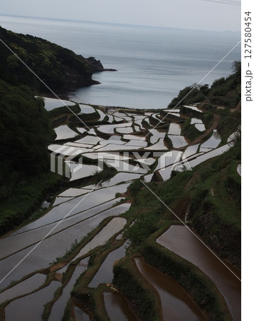 浜野浦の棚田の風景 127580454