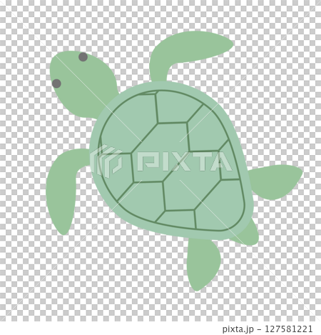 Swimming sea turtle illustration 127581221