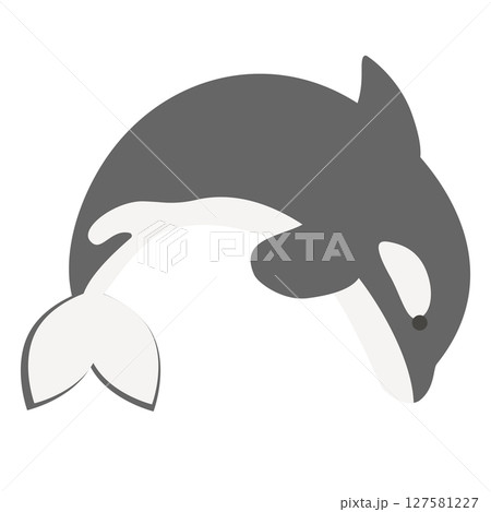 ジャンプするシャチのイラスト 127581227