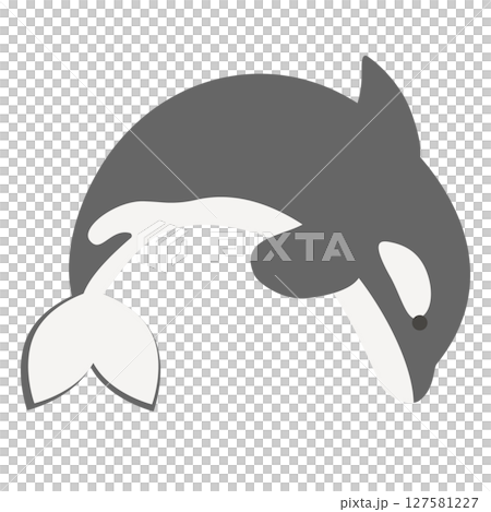 ジャンプするシャチのイラスト 127581227