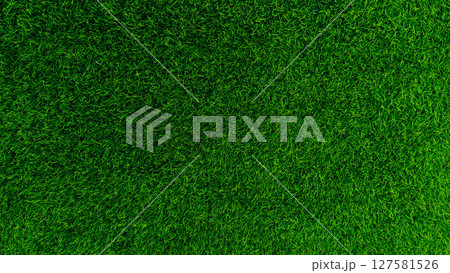 Green grass background, top view background of garden bright grass concept used for making green backdrop. 127581526