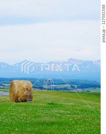 北海道の絶景 フラワーランドかみふらの牧草ロール 北海道の絶景 フラワーランドかみふらの牧草ロール 127581588