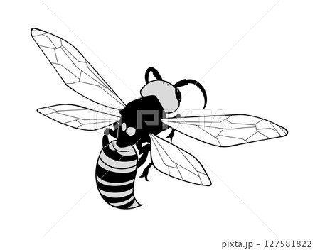 飛んでいるスズメバチの後ろ姿のモノクロイラスト 飛んでいるスズメバチの後ろ姿のモノクロイラスト 127581822