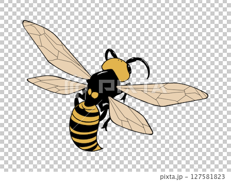 飛んでいるスズメバチの後ろ姿のイラスト 飛んでいるスズメバチの後ろ姿のイラスト 127581823