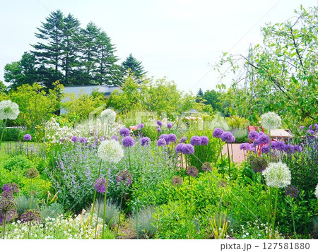 北海道の風景 道と川の駅 花ロードえにわ 127581880