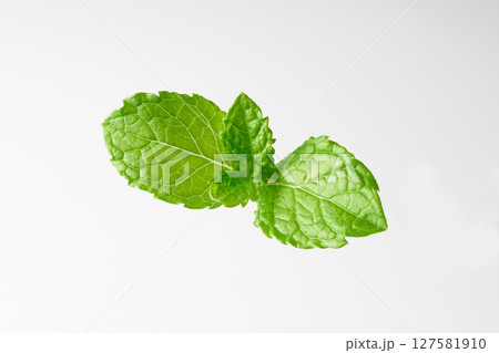 ガラスの瓶に入ったミントの葉 127581910