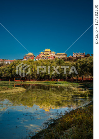 Songzanlin Monastery Reflecting in a Tranquil Lake in Shangri la Songzanlin Monastery Reflecting in a Tranquil Lake in Shangri la 127582330