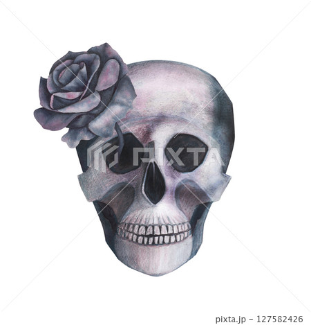 Scull with roses in the eye gothic magical texture isolated on white background. Watercolor hand drawn esoterics skull illustration. Art for design mystical halloween witch decoration, scary card 127582426