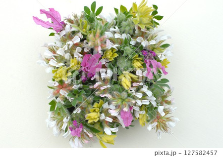 ロータスブリムストーンとフレンチラベンダーのアレンジ　 127582457