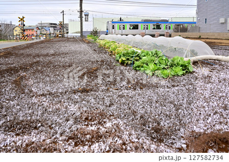 鉄道 私鉄:東武野田線 60000系 61610F 鉄道 私鉄:東武野田線 60000系 61610F 127582734