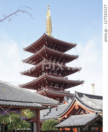 浅草 青空に映える五重塔 浅草 青空に映える五重塔 127583227