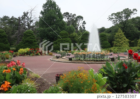 京都植物園 京都植物園 127583307