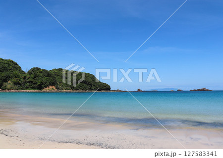 外浦海岸(静岡県下田市) 外浦海岸(静岡県下田市) 127583341