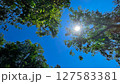 太陽の日差し 127583381