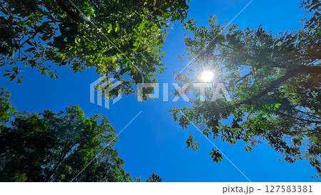 太陽の日差し 127583381