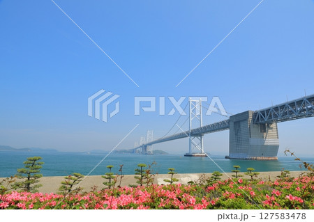満開のツツジの花に彩られた瀬戸大橋の風景 127583478