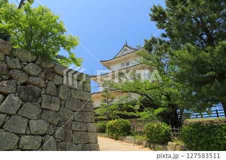 石垣の名城丸亀城天守閣の秀麗な佇まい 127583511