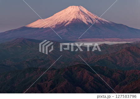 丹沢・檜洞丸から見る夜明けの富士山 127583796