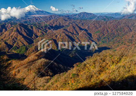 丹沢・檜洞丸から見る紅葉の山並みと雲湧く富士山 丹沢・檜洞丸から見る紅葉の山並みと雲湧く富士山 127584020
