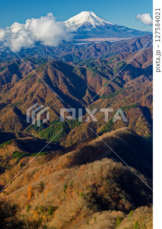 丹沢・檜洞丸から見る紅葉の山並みと雲湧く富士山 丹沢・檜洞丸から見る紅葉の山並みと雲湧く富士山 127584021