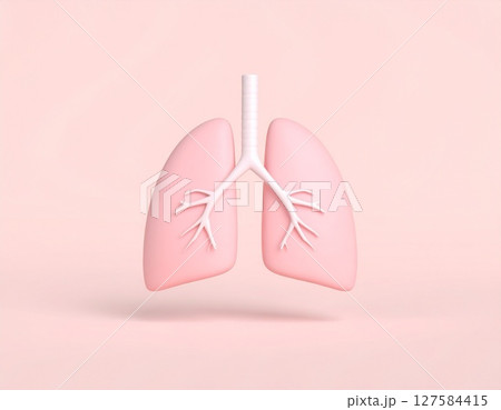 肺モデル3Dレンダリング画像  127584415