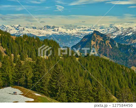 Snow-capped mountains rise above lush green forests under a clear blue sky in the Swiss Alps during early spring Snow-capped mountains rise above lush green forests under a clear blue sky in the Swiss Alps during early spring 127584450