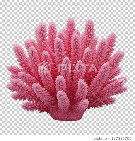 Pink coral minimalist 3D rendering in a soft and smooth renderer Pink coral minimalist 3D rendering in a soft and smooth renderer 127585706