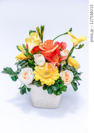 フラワーアレンジメント 127586213