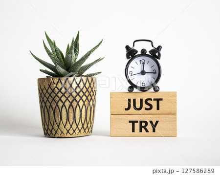 Just try symbol. Concept words Just try on wooden blocks. Beautiful white background with alarm clock and succulent plant. Business and Just Try concept. Copy space. Just try symbol. Concept words Just try on wooden blocks. Beautiful white background with alarm clock and succulent plant. Business and Just Try concept. Copy space. 127586289