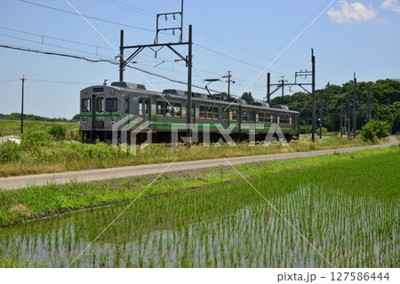 田植えが終わったばかりの田んぼの脇を走る養老鉄道 127586444