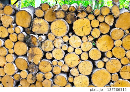 新緑、初夏の北海道、十勝平野、帯広付近、芽室町のビラえぞもりでの滞在 新緑、初夏の北海道、十勝平野、帯広付近、芽室町のビラえぞもりでの滞在 127586513