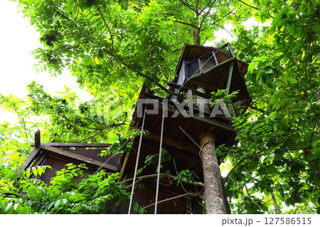 新緑、初夏の北海道、十勝平野、帯広付近、芽室町のビラえぞもりでの滞在 127586515
