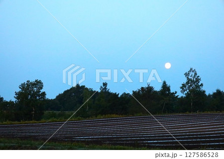 新緑、初夏の北海道、十勝平野、帯広付近、芽室町のビラえぞもりでの滞在 127586528