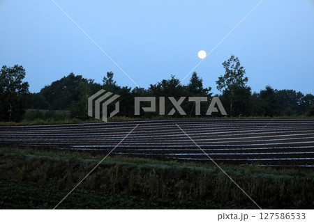 新緑、初夏の北海道、十勝平野、帯広付近、芽室町のビラえぞもりでの滞在 127586533