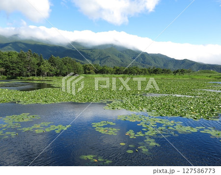 知床五湖の地上遊歩道にある一湖展望地からの眺め（一湖と雲がかかる知床連山） 127586773
