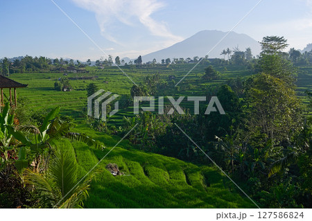 インドネシア・バリ島シドメンのライステラスとアグン山 インドネシア・バリ島シドメンのライステラスとアグン山 127586824