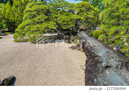 【日本100名城】徳島城　旧徳島城表御殿庭園　地団駄橋と枯山水　徳島県徳島市 127586894