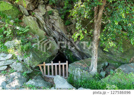 【日本100名城】徳島城　城山貝塚　徳島県徳島市 127586896