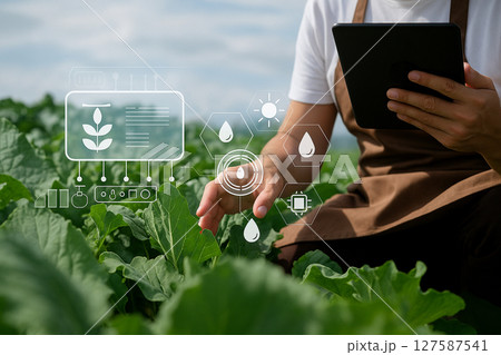 AI generated image of a farmer using a tablet monitor crops in green field transparent HUD displaying irrigation humidity light plant growth analysis representing precision farming digital agriculture AI generated image of a farmer using a tablet monitor crops in green field transparent HUD displaying irrigation humidity light plant growth analysis representing precision farming digital agriculture 127587541